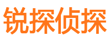 岱岳寻人公司